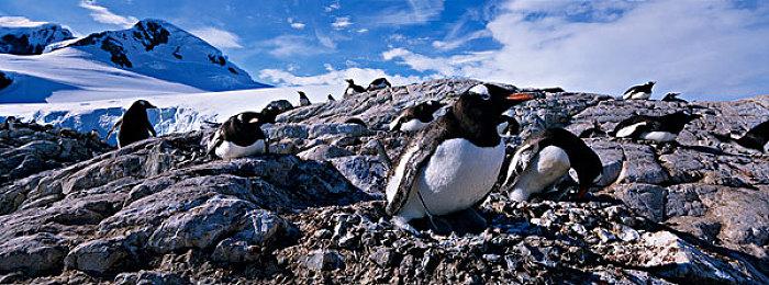 《异度神剑》开发商：不会满足现状 始终追求更高品质目标