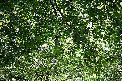 《街头霸王6》PS4、Switch2、PS5画面对比视频